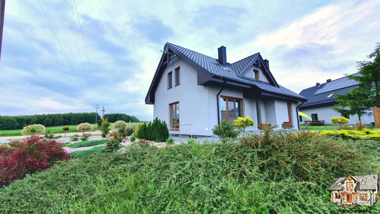 Willa Agrosielanka Lipnica  Zewnętrze zdjęcie